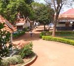 Budini-ss34-Rogers-Nkoko-300x135