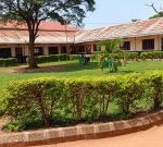 Budini-ss36-upload-Rogers-Nkoko-1-300x135