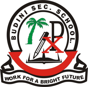 LOGO-Rogers-Nkoko-300x295